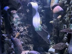 -海合安青岛极地海洋公园