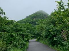 -大连天门山国家森林公园