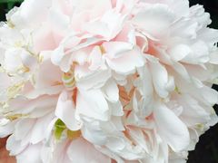 -长春公园(普阳街道)