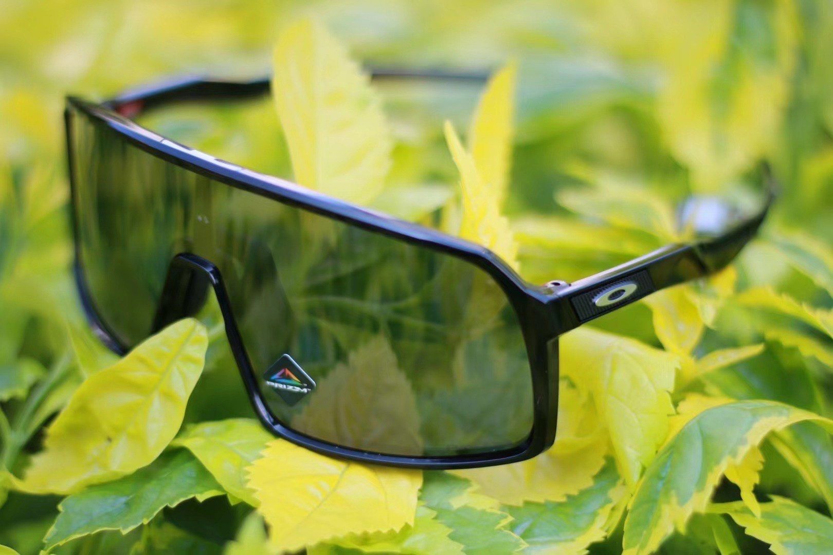 oakley 欧克利sutro 苏特罗 9406a