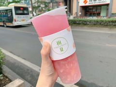 水蜜桃-树夏(建设路店)