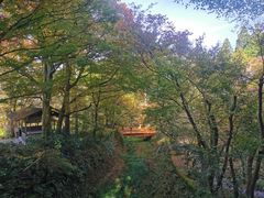 -三千院