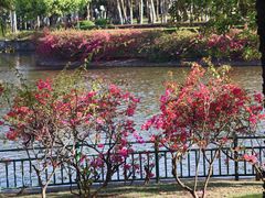 -深圳龙潭公园