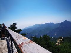 -蒙山大佛景区