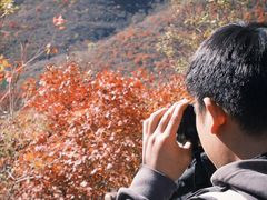 -狼牙山风景区
