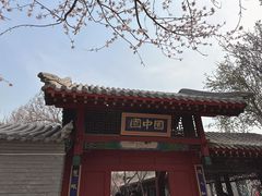 -桃花堤公园