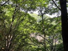 -藏山旅游风景区