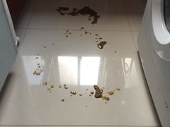 -汪说喵讲宠物乐园宠物酒店(红星美凯龙店)
