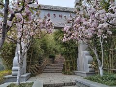 -竹子庵公园