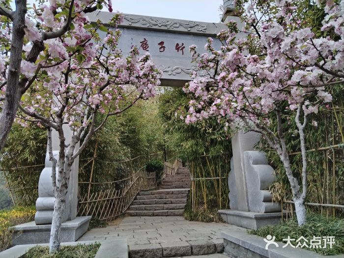 竹子庵公园图片