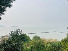 -上海市保健医疗中心