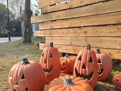 -不觉晓CAMPING(上海迪士尼营地店)