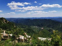 -白草畔自然风景区