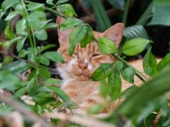 -苏州河梦清园环保主题公园