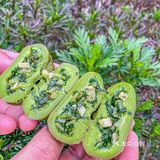 巴比出马兰头青团了！还有蒲公英荞麦包