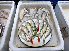 -乾隆美食·本帮菜(黄河路店)