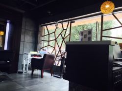 -VEKA 维卡造型