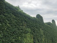 -乌镇景区