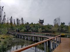 -东郊湿地公园
