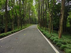 -宜兴龙背山森林公园