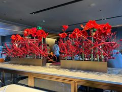 -拾久(朝阳公园店)