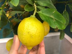 -春莱·老挝咖啡·泰式奶茶(钟楼店)
