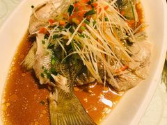 -阿英煲(凉城路店)