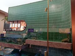 -鱼你相聚·河鲜馆(袁家岭店)