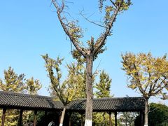 -中华孝德园