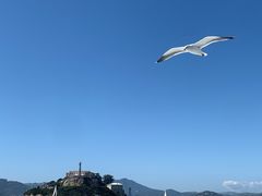 -阿尔卡特拉斯岛