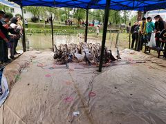 -武汉紫薇都市田园