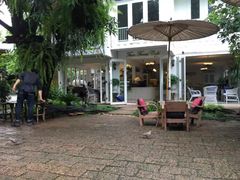 -Fern Forest Cafe