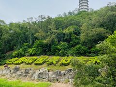 -深圳国际园林花卉博览园