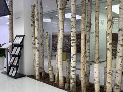 -极简口腔(总院)
