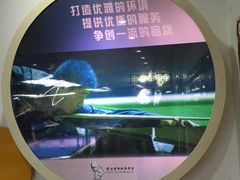 -丁俊晖台球俱乐部(长寿路店)