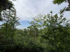 -潜山国家森林公园