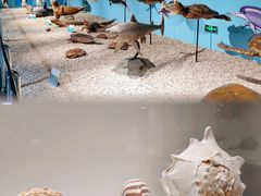 -西安曲江海洋极地公园