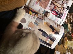 Mikaku-MIKAKU(万达广场上海宝山店)