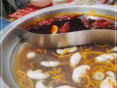 -大龙燚火锅(春熙店)