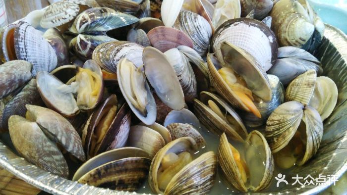 一起去赶海(新村路店)小贝壳组合图片 - 第4张