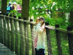 -黄海国家森林公园