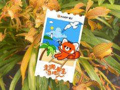 -隔壁老王·家常云南菜(皇冠店)