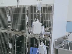 -中农国际动物医院24小时·猫科·骨科·急重症中心