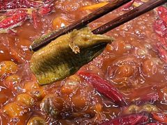 -扎起市井老火锅(乐山总店)