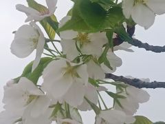 -艾溪湖湿地公园