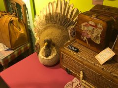 -恋物百货商店(华侨城店)