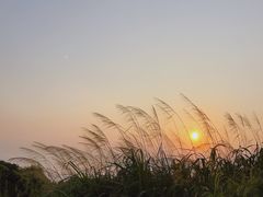 -枸杞岛