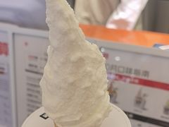 -野人先生Gelato(上海长宁龙之梦店)