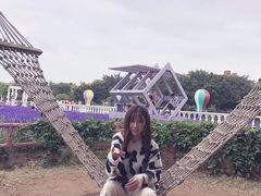 -百万葵园