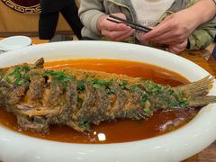 -老雒阳面馆·水席·洛阳菜(王城路店)